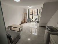 1室1廳1陽臺 藍(lán)光水岸公園公寓客廳