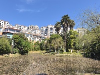 5室2廳2陽臺 玫瑰灣小區(qū)別墅其他