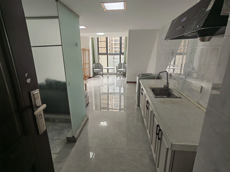 1室1廳1陽臺 藍(lán)光水岸公園公寓客廳