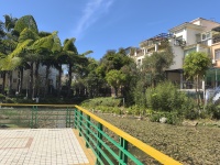 5室2廳2陽臺 玫瑰灣小區(qū)別墅其他