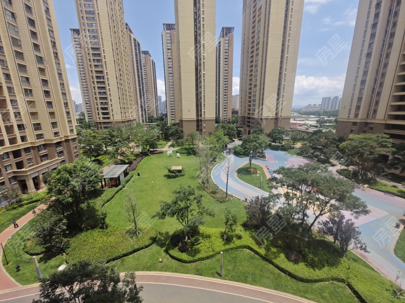 1室1廳1陽臺 藍(lán)光水岸公園公寓其他