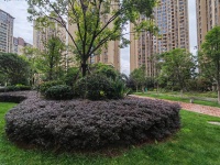 4室2廳3陽臺(tái) 藍(lán)光水岸公園其他