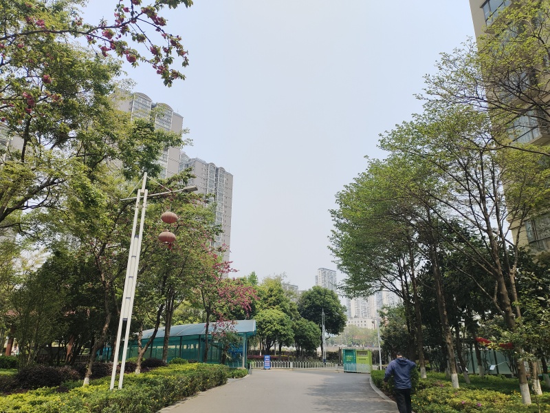 2室2廳 金馬悅城自家花園