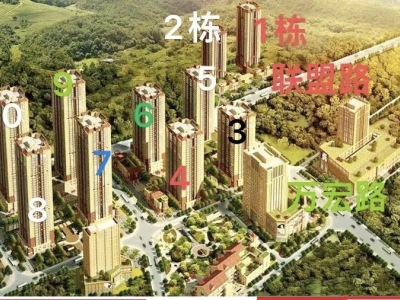 3室2廳1陽臺(tái) 萬宏國際一期