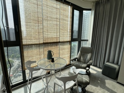 3室2廳2陽(yáng)臺(tái) 江東境界