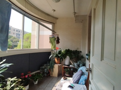 3室2廳1陽(yáng)臺(tái) 北辰小區(qū)桂花苑