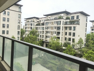 4室2廳 金科江湖海