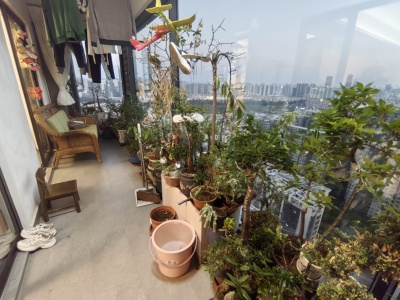 4室2廳 美的云璟