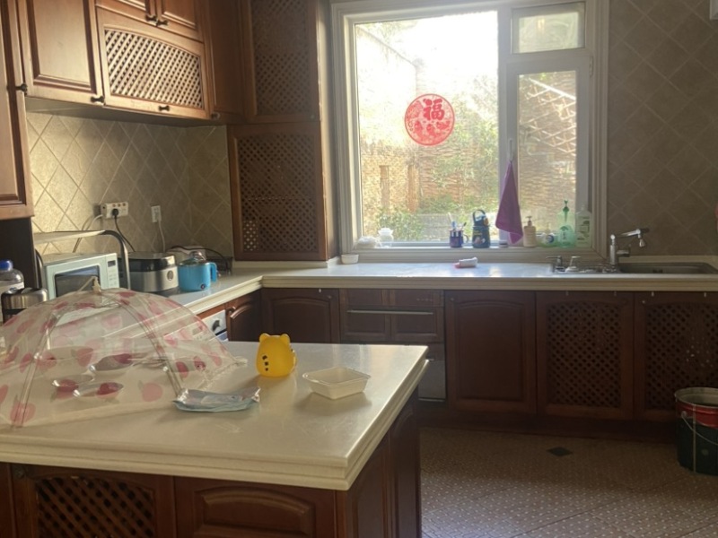 5室2廳3陽臺 世博生態(tài)城半山鄰里別墅廚房