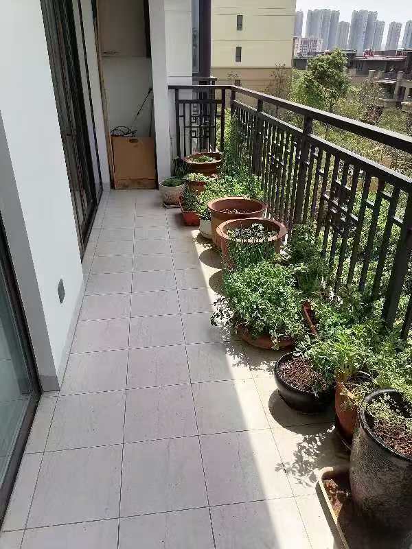 4室2廳3陽(yáng)臺(tái) 中海云麓九里一期別墅陽(yáng)臺(tái)