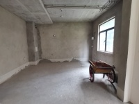 5室2廳 綠地海珀瀾庭別墅廚房