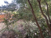 6室2廳4陽(yáng)臺(tái) 滇池衛(wèi)城滟瀾灣別墅客廳