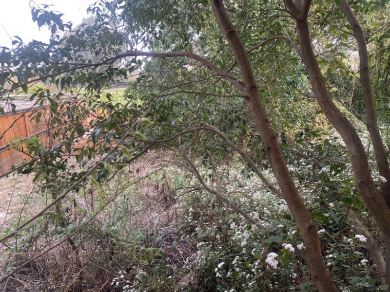 6室2廳4陽(yáng)臺(tái) 滇池衛(wèi)城滟瀾灣別墅客廳