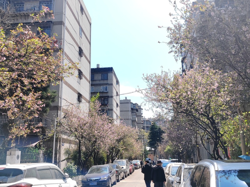 刘家营新区其他