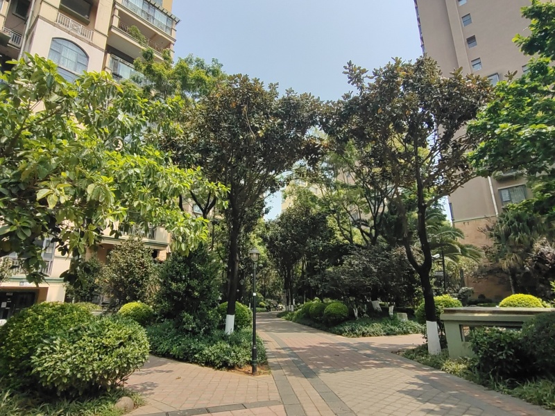 新亚洲星体花园北区其他