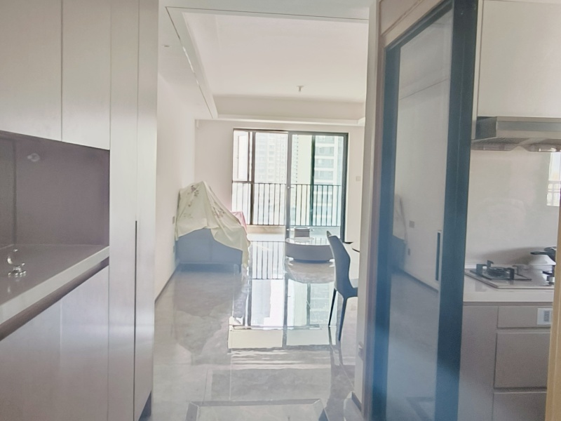 3室2廳2陽臺 招商雍華府門廳