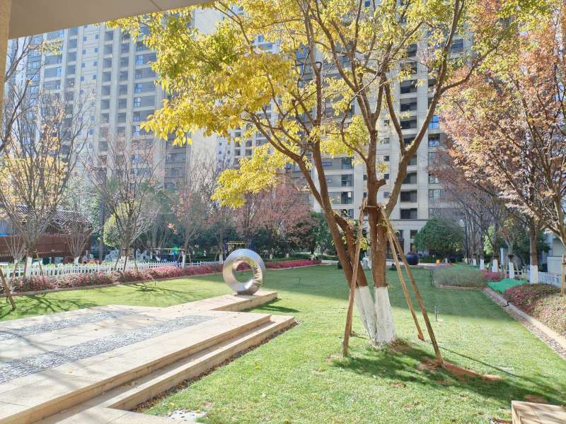 4室2廳2陽臺 萬科翡翠一期其他