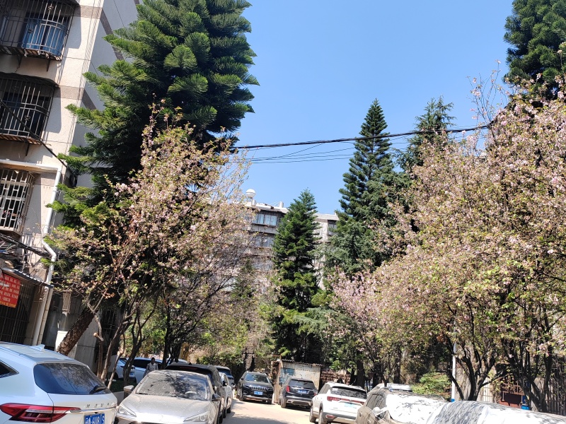 刘家营新区其他