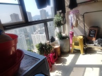 3室2廳1陽(yáng)臺(tái) 俊發(fā)盛唐城星河郡（一期）陽(yáng)臺(tái)