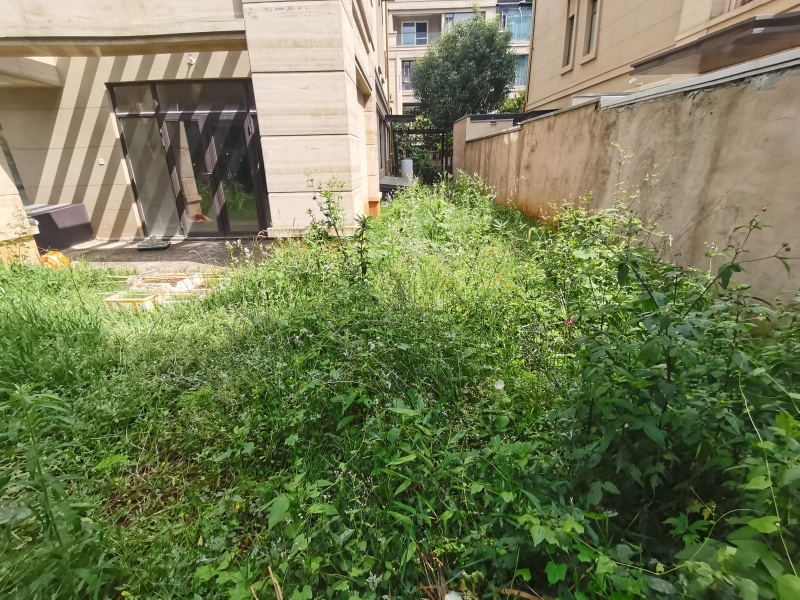 5室2廳 綠地海珀瀾庭別墅自家花園