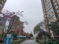 3室1廳 金馬悅城自家花園