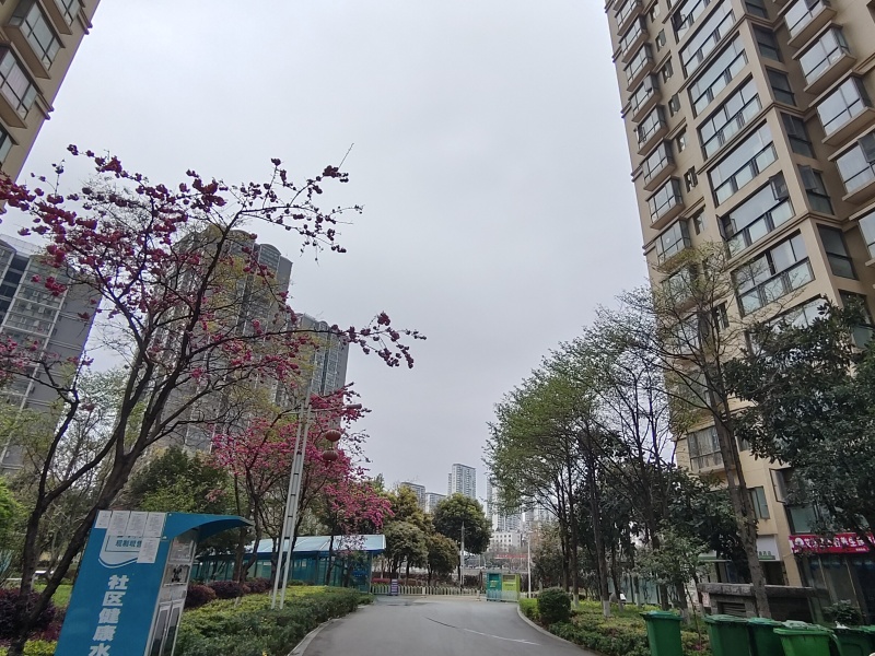 3室1廳 金馬悅城自家花園