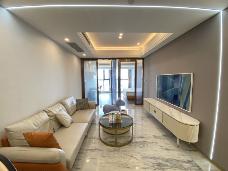 2室1廳 俊發(fā)逸天峰公寓客廳