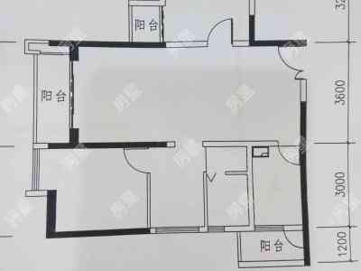 3室2廳1陽(yáng)臺(tái) 經(jīng)典雙城二、三期