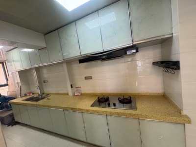 3室2廳1陽臺 新希望希望匯