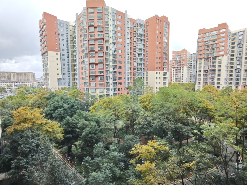 4室2廳2陽(yáng)臺(tái) 新亞洲星宇園小區(qū)平面圖