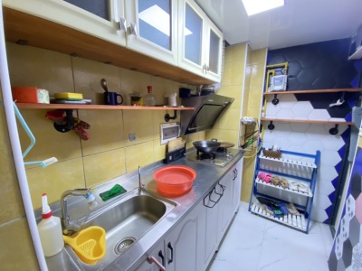 1室1廳1陽臺 大觀首府