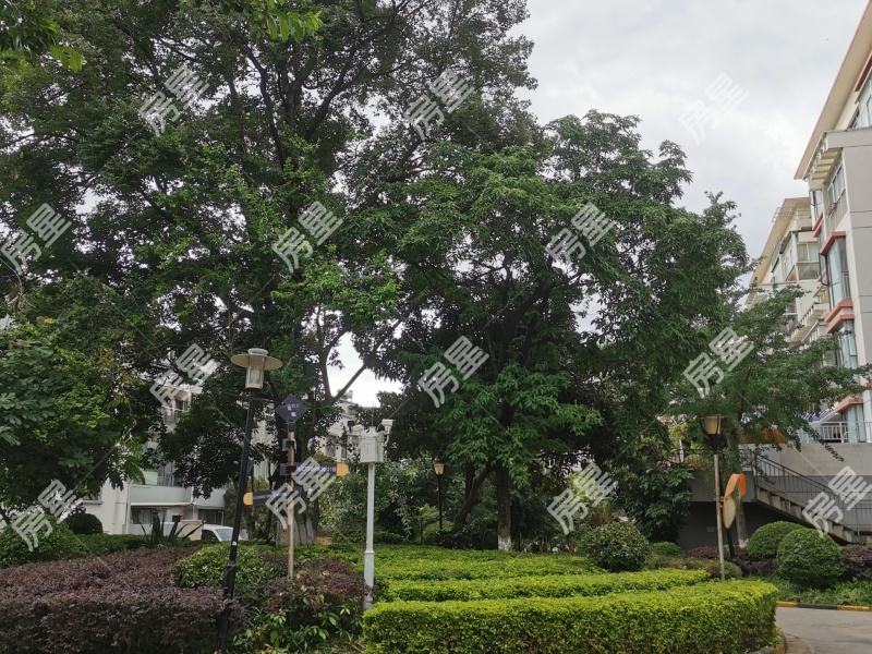 5室3廳4陽臺 楓林盛景西區(qū)別墅其他