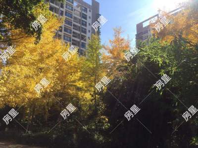 1室1廳1陽臺 光輝城市