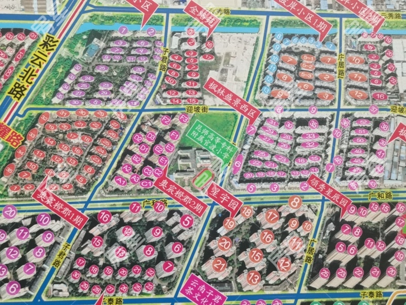 5室3廳4陽臺 楓林盛景西區(qū)別墅小區(qū)平面圖