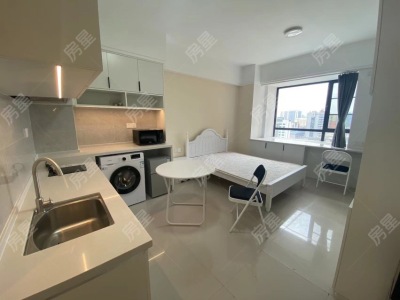 1室1廳1陽臺 大觀首府