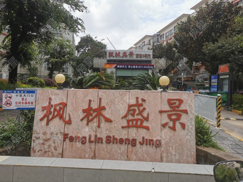 5室3廳4陽臺 楓林盛景西區(qū)別墅其他