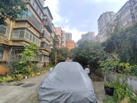 2室2廳1陽臺 人民巷65號其他