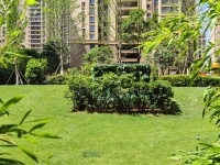 4室2廳3陽臺(tái) 藍(lán)光水岸公園其他