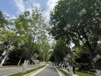 5室2廳4陽臺(tái) 滇池ONE一期別墅其他