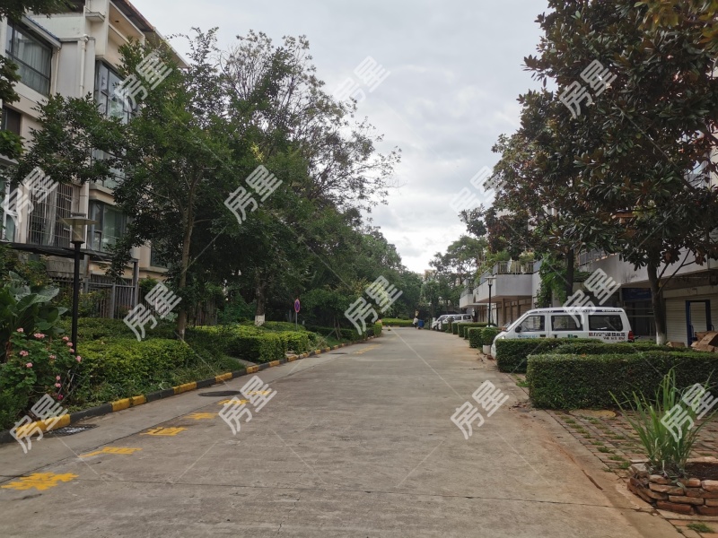 5室3廳4陽臺 楓林盛景西區(qū)別墅其他