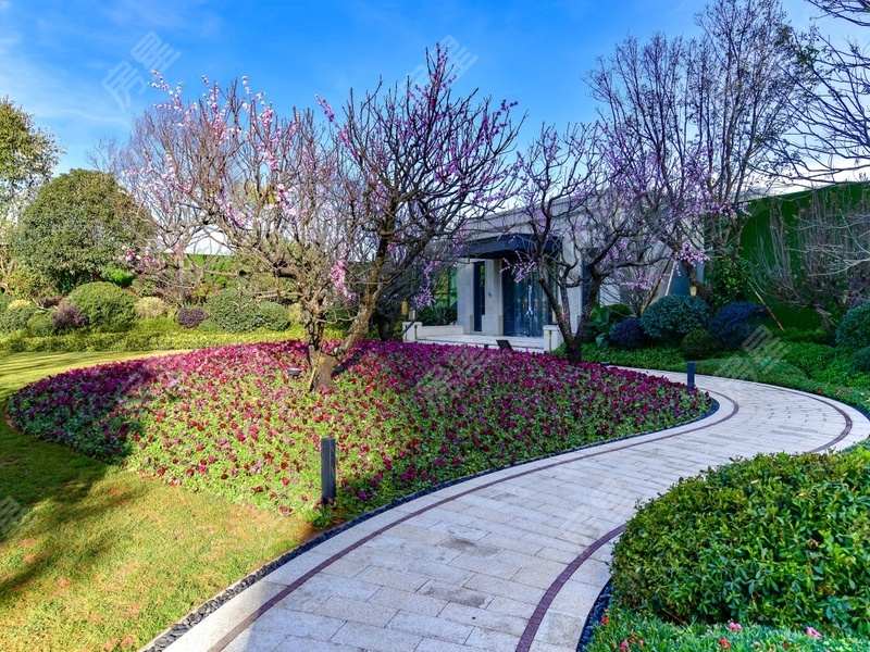 1室2廳 巫家壩金茂廣場公寓其他