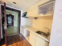 1室1廳 時尚家園廚房