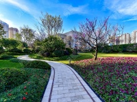 1室2廳 巫家壩金茂廣場公寓其他