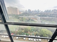 1室1廳 時尚家園自家花園