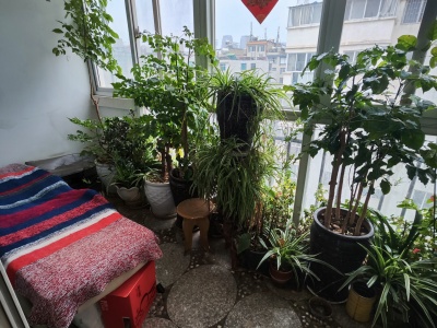 5室2廳2陽(yáng)臺(tái) 新欣家園