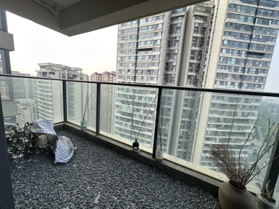 3室2廳1陽臺 新希望觀瀾匯