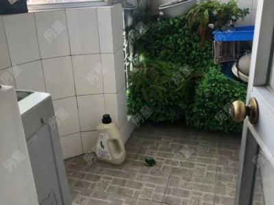 5室2廳2陽(yáng)臺(tái) 西麗園