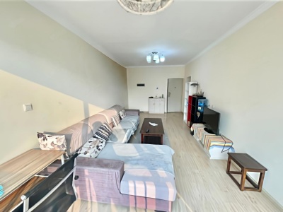 1室1廳1陽臺 金呈北泰花園