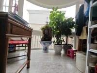 3室2廳2陽臺 江東鳴翠園西區(qū)陽臺