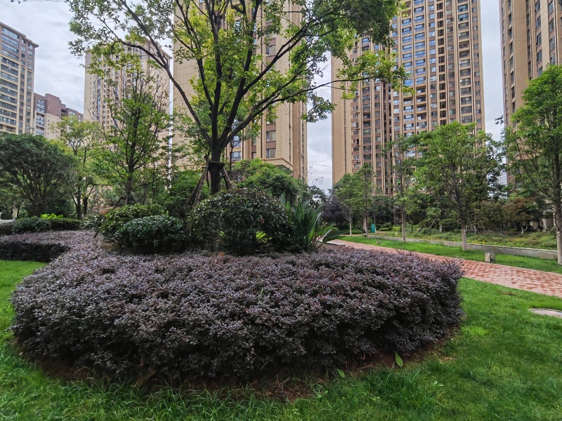 3室2廳1陽(yáng)臺(tái) 藍(lán)光水岸公園其他